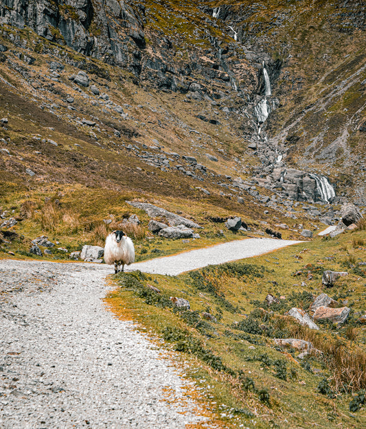 Les falaises de Mahon Falls, co. Waterford